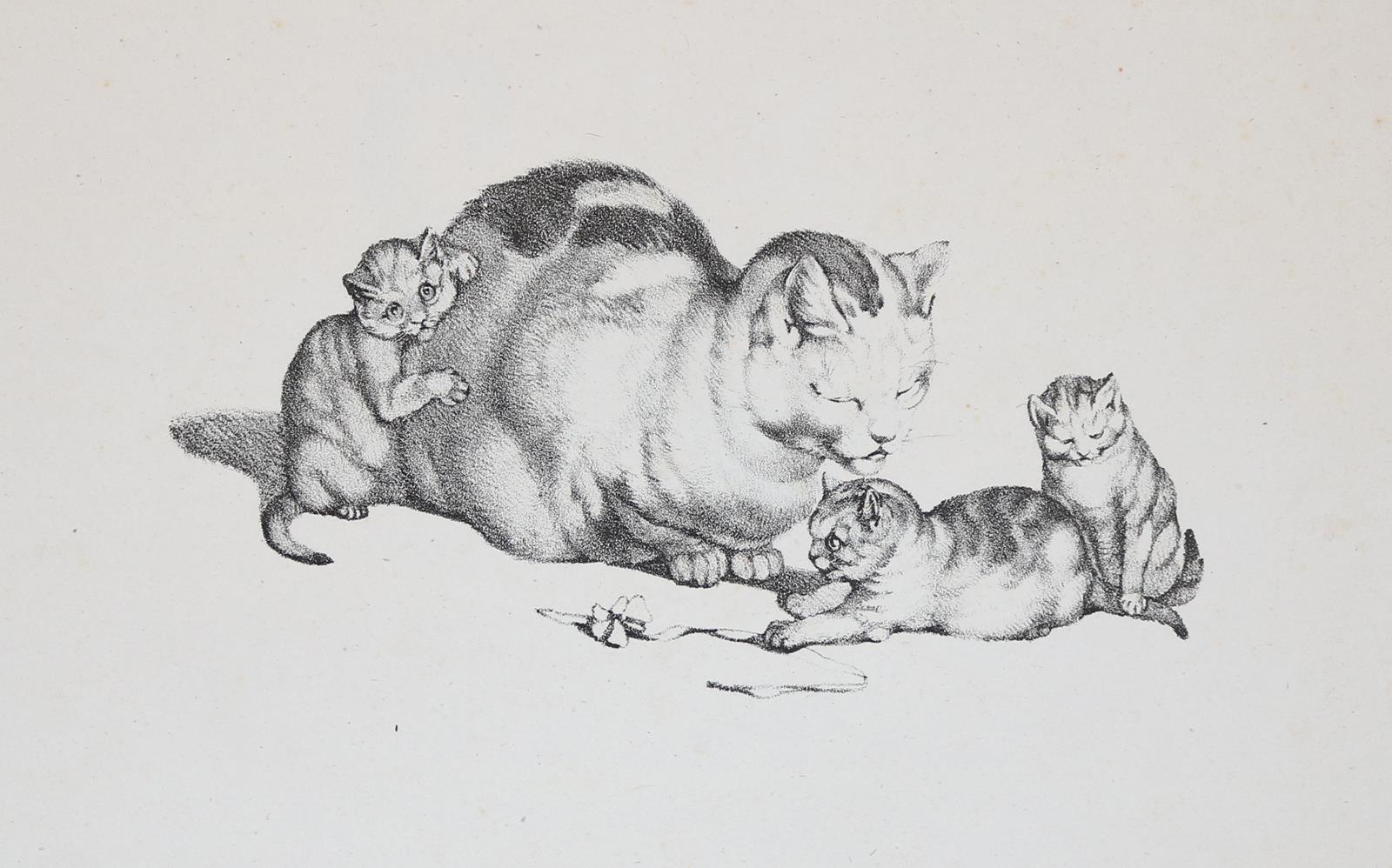 Mind, Gottfried | Bild Nr.4